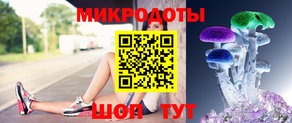 купить  цена  Вход с VPN  Сунжа  Галлюциногенные грибы MAGIC MUSHROOMS 
